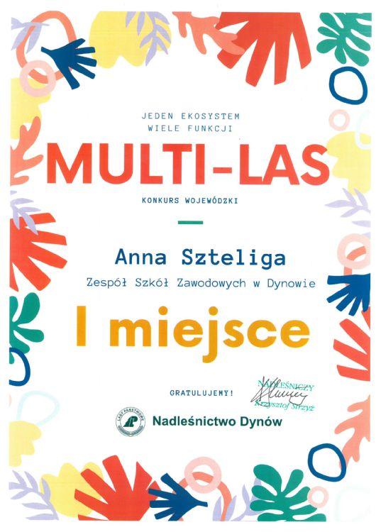 Multi - Las - Anna Szteliga - I miejsce..jpg